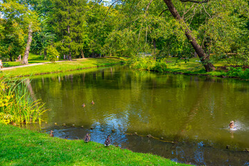 Fototapeta premium Lake at Lazienki park in Warsaw, Poland
