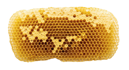 Intricate honeycomb structure filled with honey against a stark black background exhibiting detailed texture