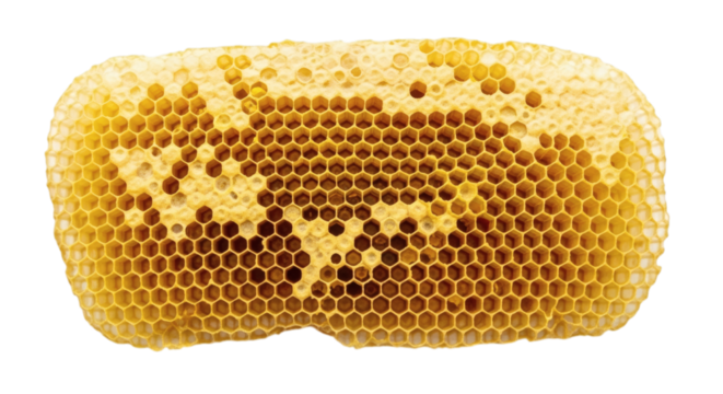 Intricate honeycomb structure filled with honey against a stark black background exhibiting detailed texture