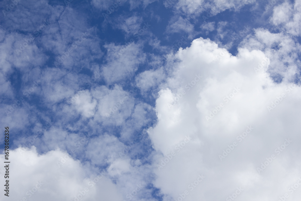 Canvas Prints the sky is covered with fluffy clouds.