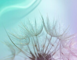 Abstract Dandelion Close-up Soft Focus