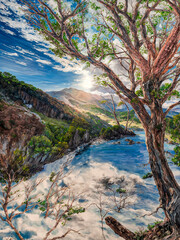 Oil painting of trees trying to grow in a snowy climate. Vector converted to image.