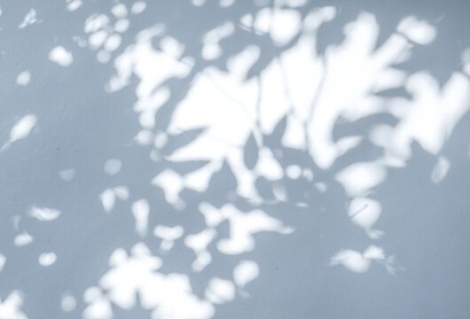 Light and shadow, showcasing the dappled sunlight filtered through palm fronds onto a textured, light-colored surface. Natural leaf shadows on white wall for background design for text.	