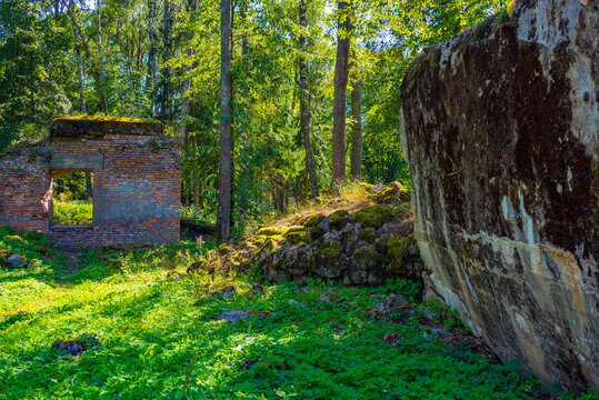 Ruins of wolf��s lair bunkers used by Adolf Hitler during th