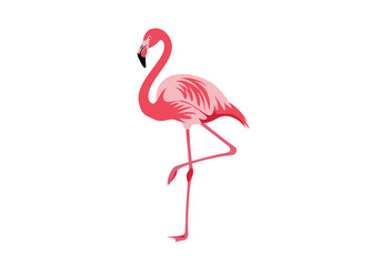 Obraz premium A majestic pink flamingo standing gracefully on one leg in a tropical paradise