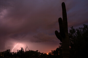 Evening lightning storm in the Arizona desert