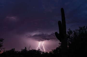 Saguaro Cactus and lightning at sunset with colorful clouds