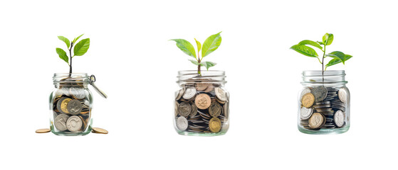 Collection of Plant growing from jar full coins, saving and invesment concept side view isolate on transparency background