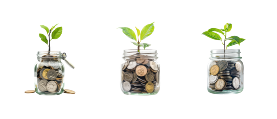 Collection of Plant growing from jar full coins, saving and invesment concept side view isolate on transparency background