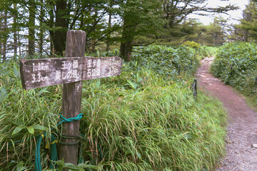 日本：美ヶ原【日本百名山】王ヶ鼻への道標とハイキングコース／長野県松本市