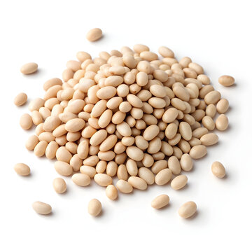 Close-up of dried navy beans isolated on a plain white background, showcasing their small,