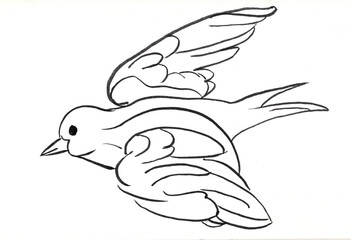 Hand Drawn Flying Bird Line Art Illustration in Black and White