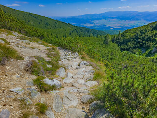 Furkotska dolina in High Tatras national park in Slovakia © dudlajzov