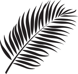 Coconut Palm Leaf icon clean simple linear