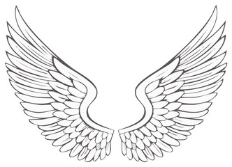 Obraz premium Detailed Illustration of Angel Wings in Black and White, Symbol of Freedom