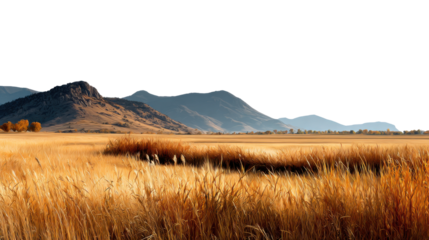 Golden Field and Distant Mountains: A breathtaking panorama showcasing a sea of golden wheat swaying gently, framed by majestic mountains under a vast, endless sky.