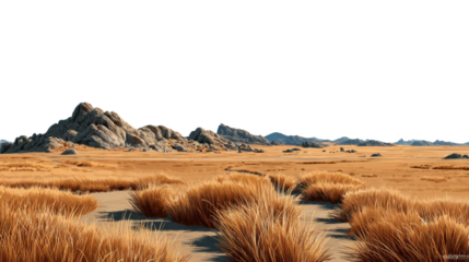 Desert Landscape: A vast desert landscape stretches into the distance, with rolling hills and dry grass against the bright sky, capturing the raw beauty of the natural world.