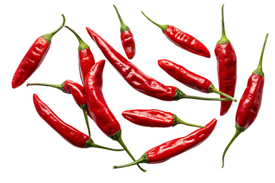 Red Chili Peppers on Transparent Background, PNG
