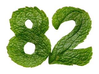 Mint leaf number 82 creative showcase nature graphic design isolated on transparent background