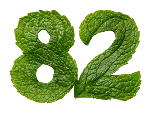 Mint leaf number 82 creative showcase nature graphic design isolated on transparent background