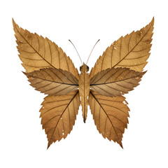 Delicate butterfly crafted from autumn leaves, perfect for nature-themed designs and projects
