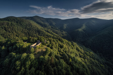 Fototapeta premium breathtaking aerial view of historical castles nestled amidst lush greenery in picturesque landscape of czech