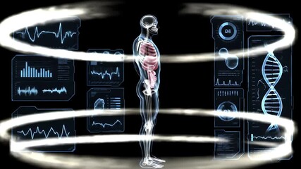 Detailed Full Body Scan of Transparent Human Figure with Glowing Rings and Intricate Data Displays Illuminating Skeleton and Internal Organs in a Dark Scientific Environment - Powered by Adobe