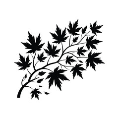 Maple Branch Silhouette Illustration: Detailed Maple Leaf Design for Autumn Projects