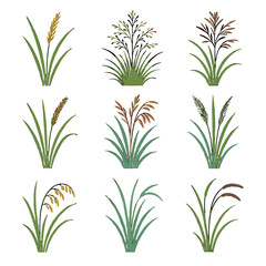 Fototapeta premium Bluestem side needlegrass prairie vector grass icon oats siberian meadow indian