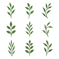 Fototapeta premium Sprouts plant stems growth bending botanical fresh stalks grid icon upward vector