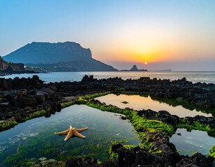 Seongsan Ilchulbong Sunrise Tide Pools