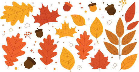 Beautiful autumn leaves and acorns create a warm fall vibe for your seasonal designs and creative projects