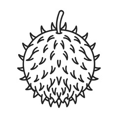 Rambutan Fruit Vector