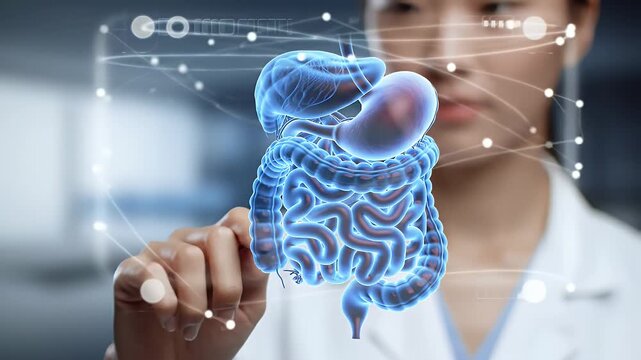 Doctor Interacting with 3D Hologram of Digestive System