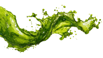 Vibrant green splash of liquid, dynamic motion, isolated on white background.