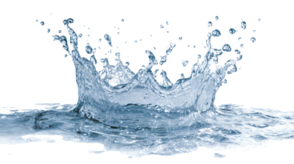 Water splash, detailed and dynamic, isolated on a white background.