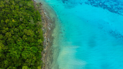 Aerial view of the dark green forest and the sea. Natural ecosystems of forests and oceans. concept...