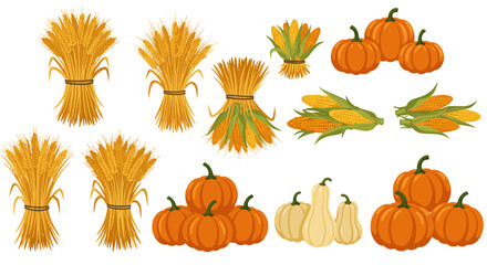 An illustration showing pumpkins sheaves of wheat  corn