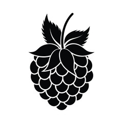 Ripe Loganberry Cluster