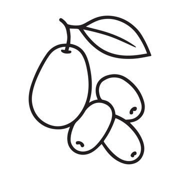 Jamun Vector Icon