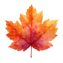 Obraz premium Autumn foliage display forest close-up photography nature vibrant colors