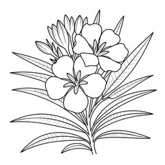 A mexican oleander illustration vector style coloring page 