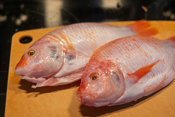 Red tilapia on a wooden cutting board ready for preparation and cooking