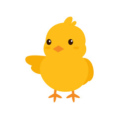 Cute Baby Chicks Illustration