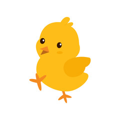 Cute Baby Chicks Illustration