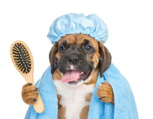 A playful dog wearing a shower cap and holding a hairbrush, wrapped in a towel, exuding a fun and humorous vibe.