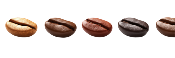 Elegant arrangement of freshly roasted coffee beans showcasing a spectrum of roasting levels