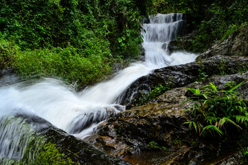 Fototapeta premium Huay Kaew Waterfall in the rainy season at Doi Suthep-Pui National Park,Chiang mai, Northern Thailand.