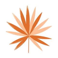 Illustration of orange tropical palm leaf with fan shape, exotic design element for summer, jungle, and decoration.
