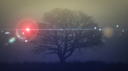 Moody Digital Painting of a Colossal Tree in a Mystical Landscape